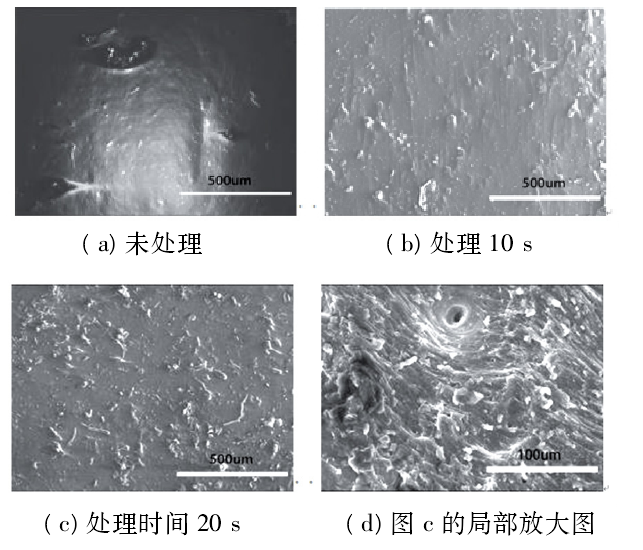 低温91成人看片下载体处理前后三元乙丙橡胶的表面形貌
