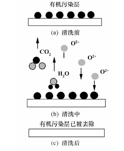 氧91成人看片下载体清洗示意图