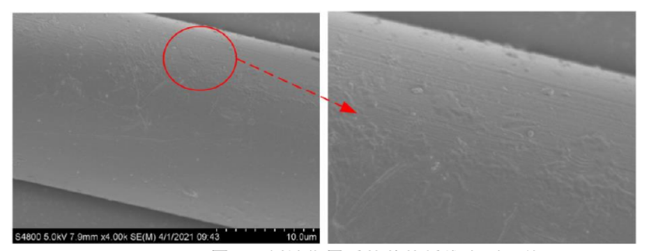 91成人看片下载刻蚀作用后的芳纶纤维表面形貌
